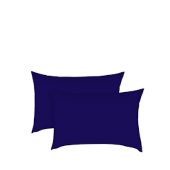 2 in 1 Nytee Nyt Regular Pillow