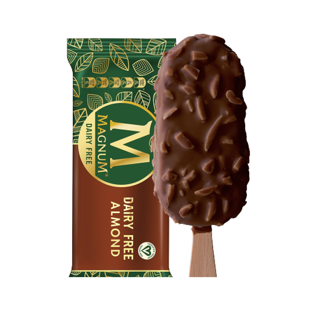 Dairy Free Almond Ice Cream 1