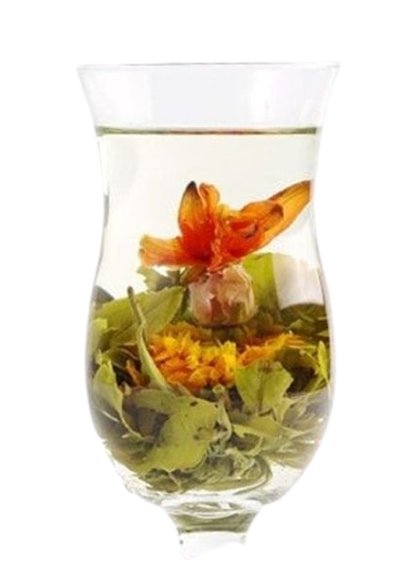10 Best Blooming Teas in the Philippines 2026 | Buying Guide Reviewed by Nutritionist-Dietitian 1