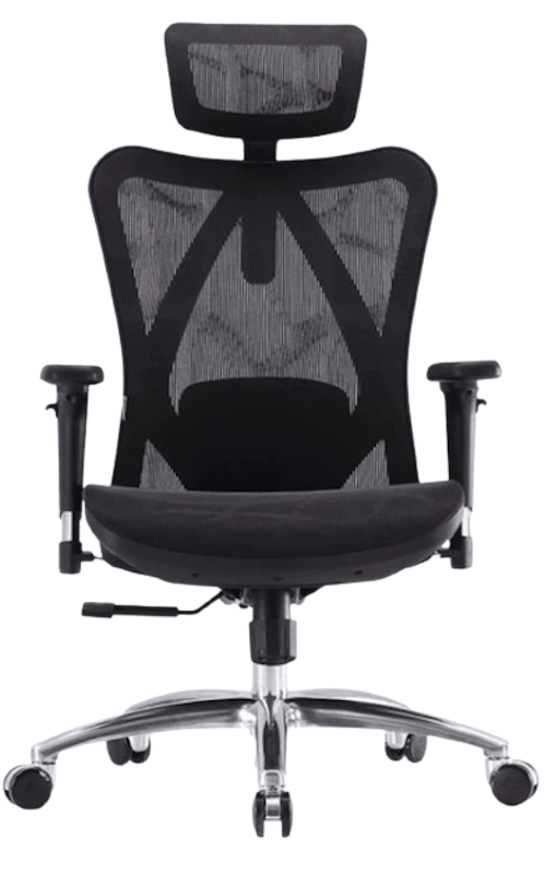 Ergonomic Office Chair M57 1