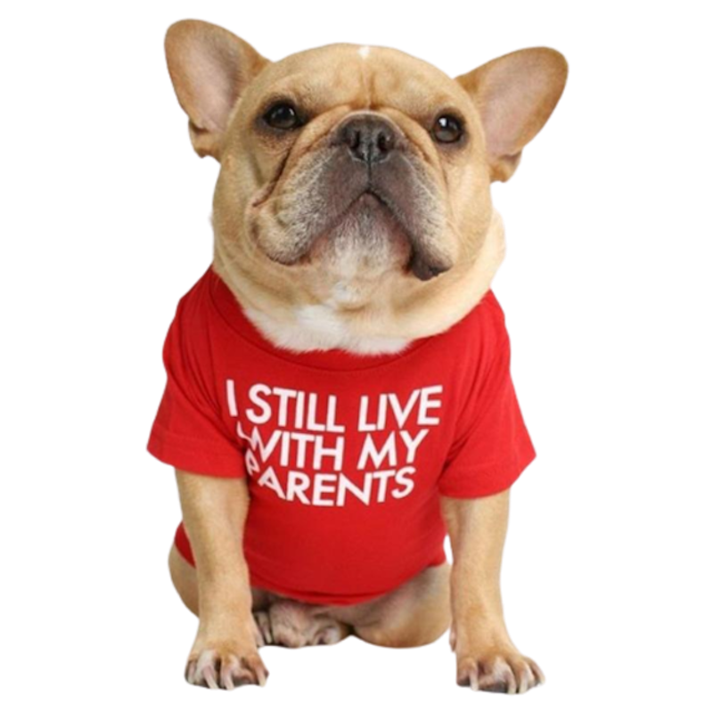 Round Neck T-Shirt For Small Dog 1