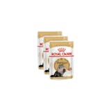 10 Best Persian Cat Foods in the Philippines 2026 | Buying Guide Reviewed by Veterinarian 3