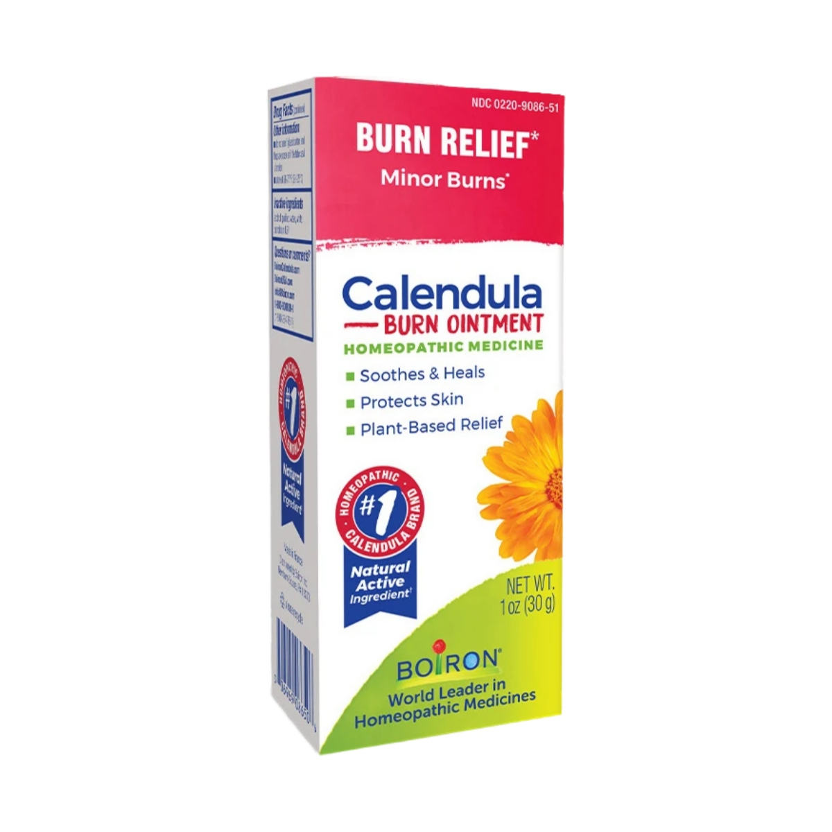 Calendula Burn Ointment 1