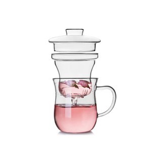 Glass Cup With Loose Leaf Tea Infuser 