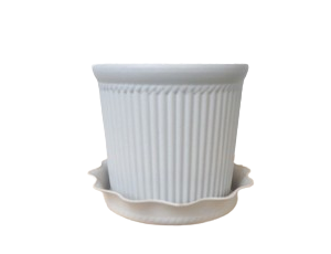 10 Best Pots for Indoor Plants in the Philippines 2026 3