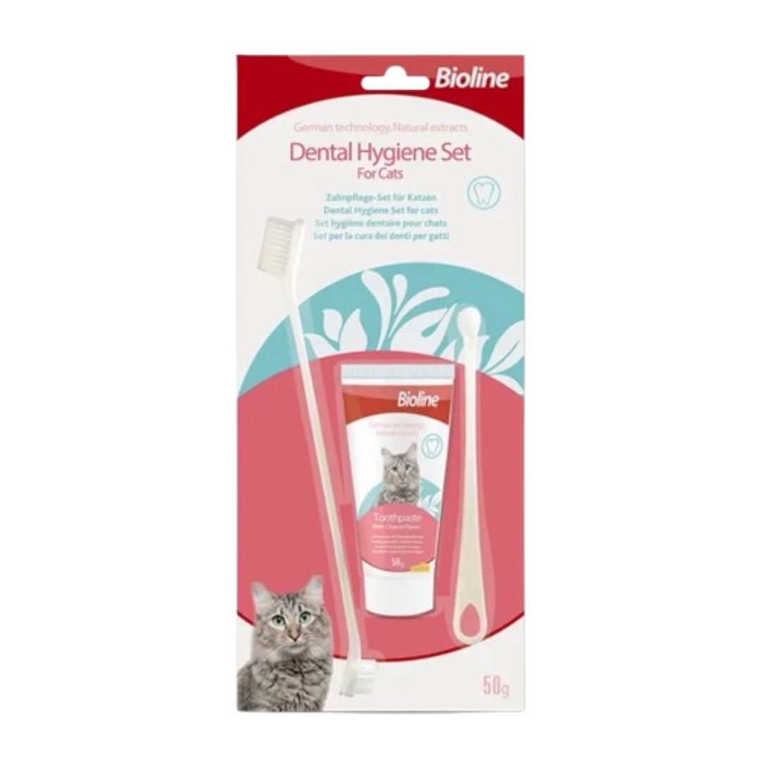 10 Best Cat Toothbrushes in the Philippines 2025 Bioline, Pet