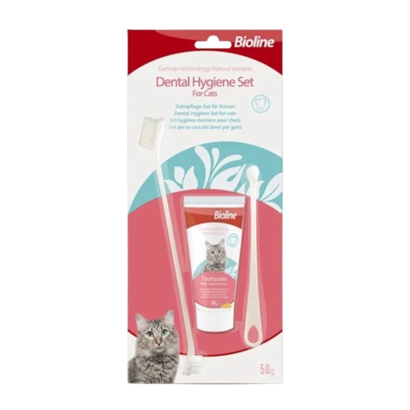 10 Best Cat Toothbrushes in the Philippines 2025 Bioline, Pet