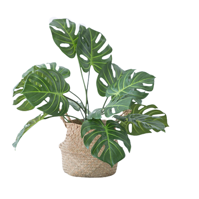 Artificial Monstera Plants 1
