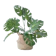 Artificial Monstera Plants 1
