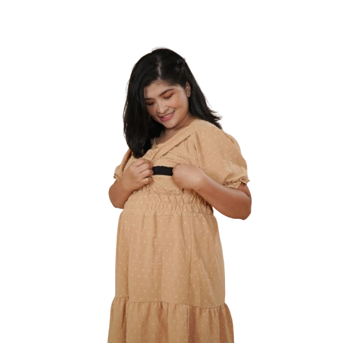 Aurora Nursing Dress	 2