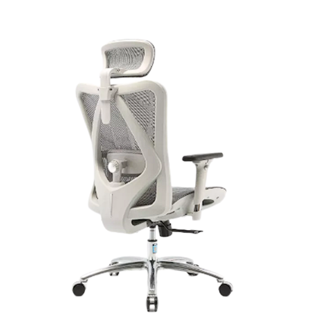Ergonomic Office Chair 2