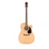 Fender Dreadnought Acoustic Guitar with Pick Up 1