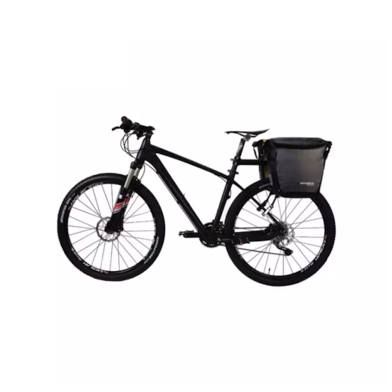 Back Side Panniers 2