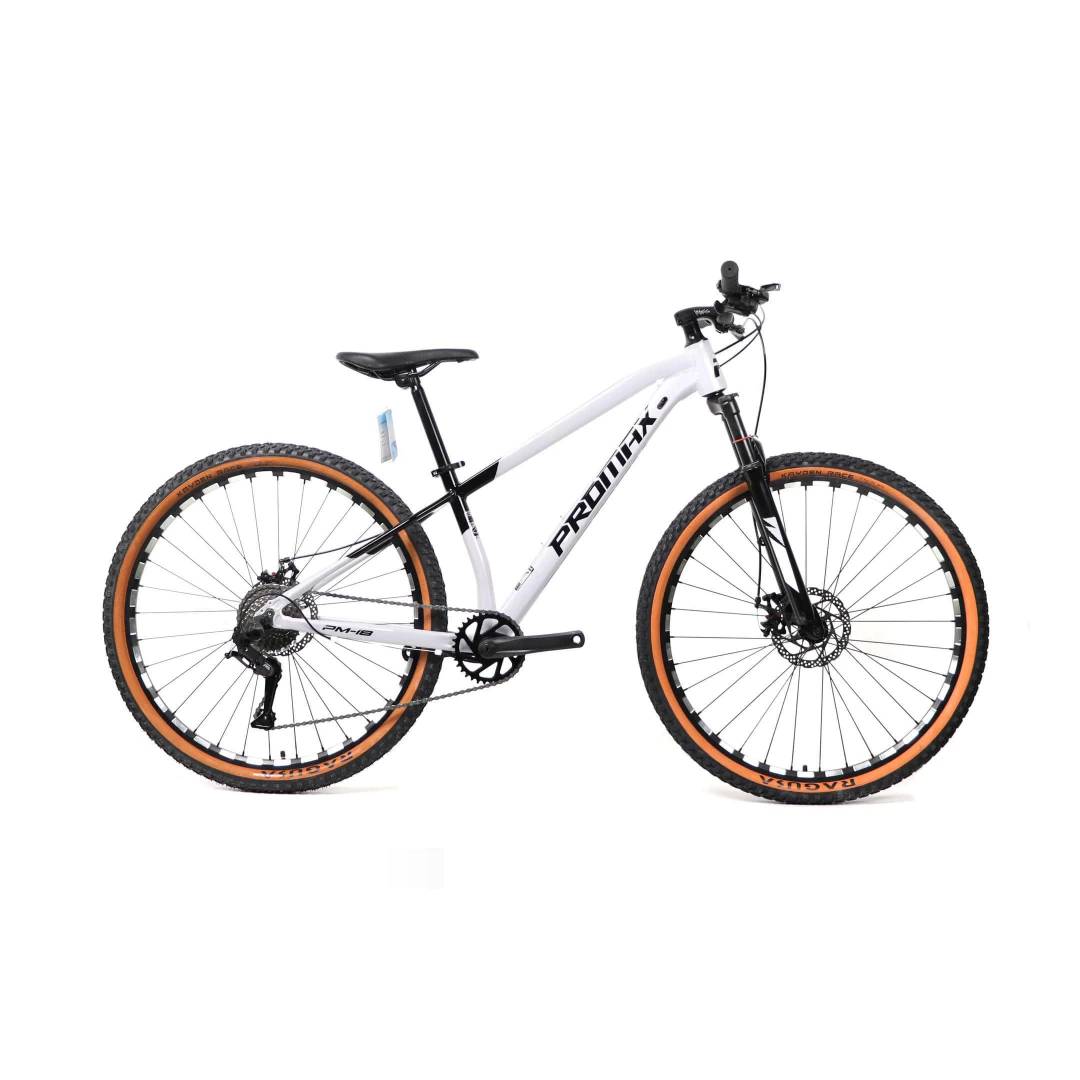 PM18 MTB 4