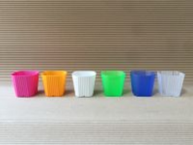 Pots for Baby Succulents 2