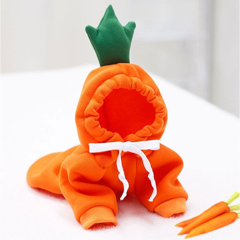 Pet Fruit Clothes 2