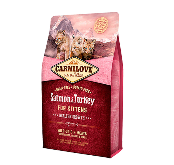 10 Best Kitten Food in the Philippines 2026 | Buying Guide Reviewed by Veterinarian 1
