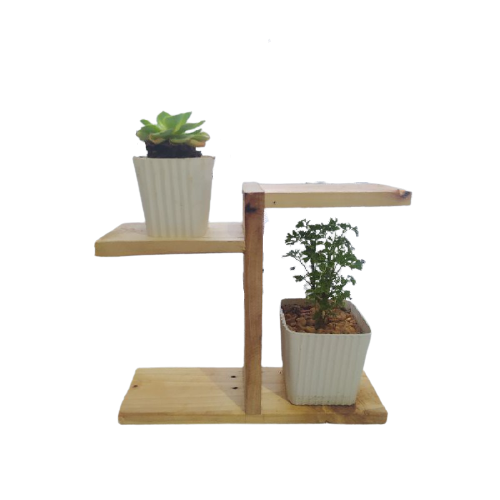 Plant Rack 1