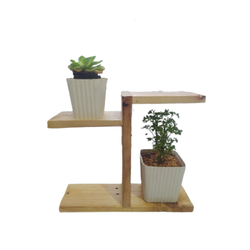 Plant Rack 1