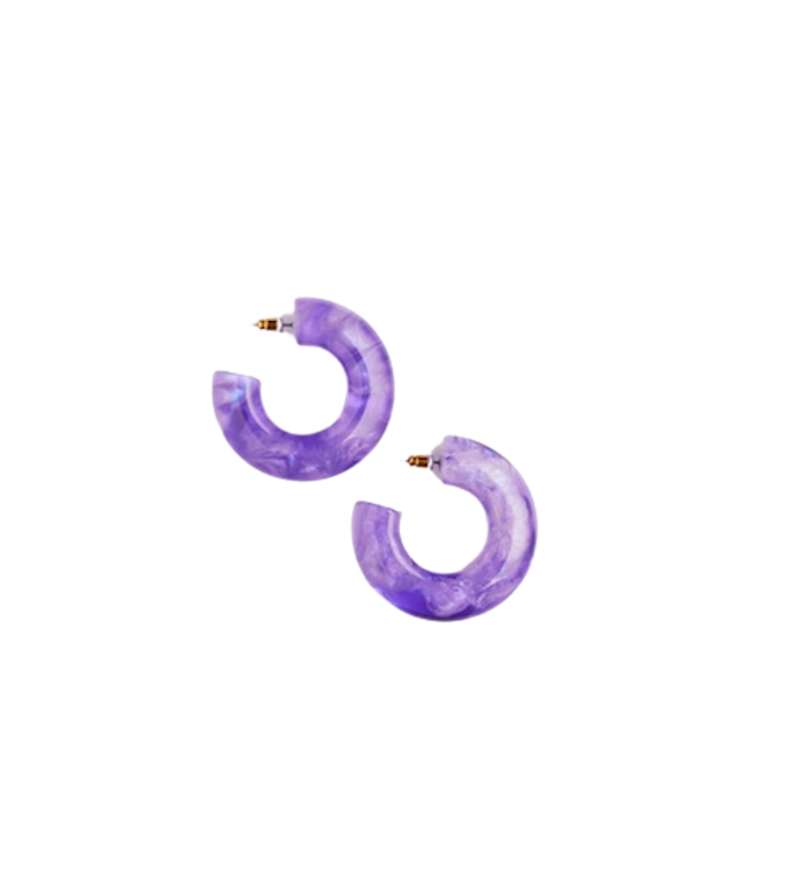 Hoop Earrings 1