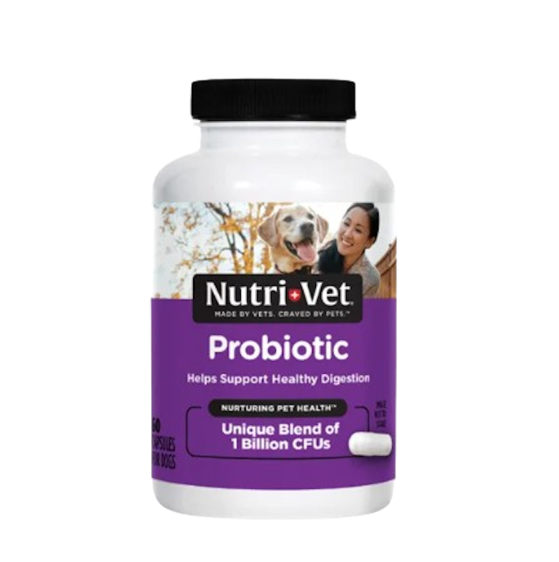 Probiotic 1