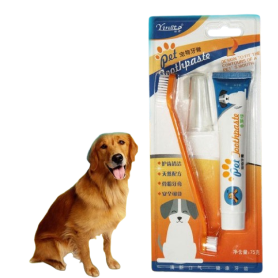10 Best Toothbrushes for Dogs in the Philippines 2026 | Buying Guide Reviewed by Veterinarian 2