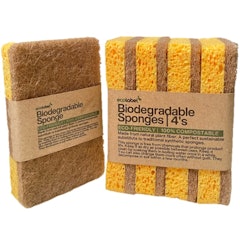 Biodegradable Sponge