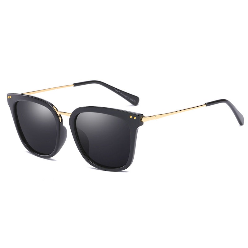 Polarized Sunglasses 2
