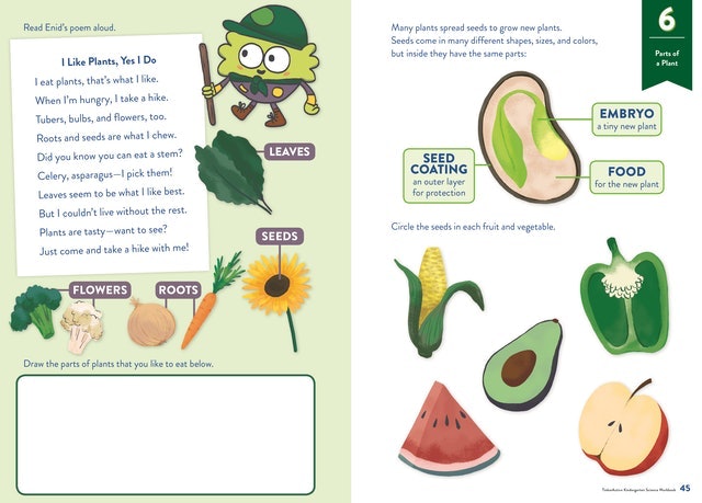 TinkerActive Workbooks: Kindergarten Science  2