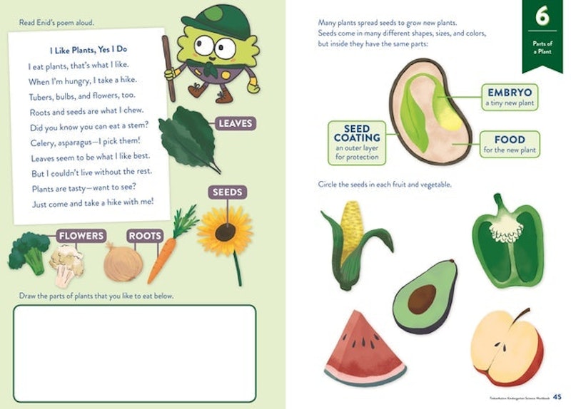 TinkerActive Workbooks: Kindergarten Science 2
