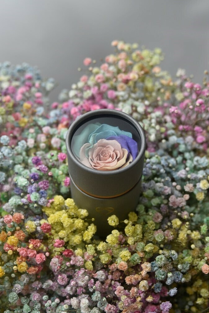10 Best Preserved Flowers in the Philippines 2026 5