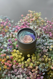 10 Best Preserved Flowers in the Philippines 2026 5