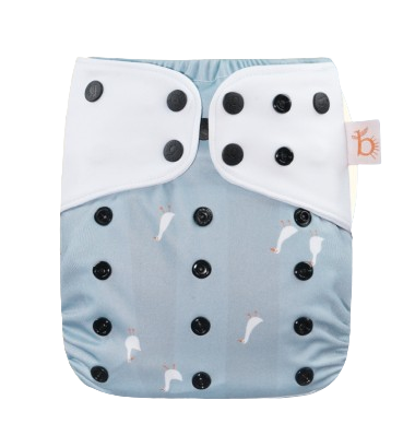 10 Best Cloth Diapers in the Philippines 2026 | Buying Guide Reviewed by Pediatrician 3