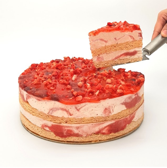 10 Best Ice Cream Cakes in the Philippines 2026 | Buying Guide Reviewed by Nutritionist-Dietitian 2