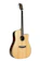 Phoebus Solid Top Dreadnought Acoustic-Electric Guitar 1