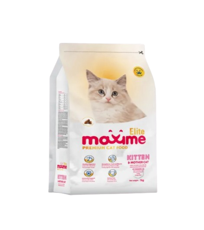 Elite Kitten and Mother Cat 1
