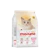Maxime Elite Kitten and Mother Cat 1