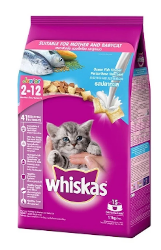 Cat Dry Food for Kitten in Ocean Fish Flavor with Milk 1