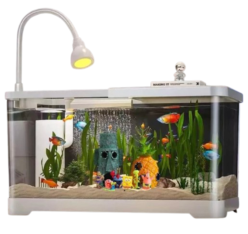 Resin Fish Tank 1