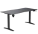 TTRacing Titus X Smart Gaming Desk 1