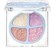 barenbliss Dream Chaser Quad Eyeshadow Palette 1