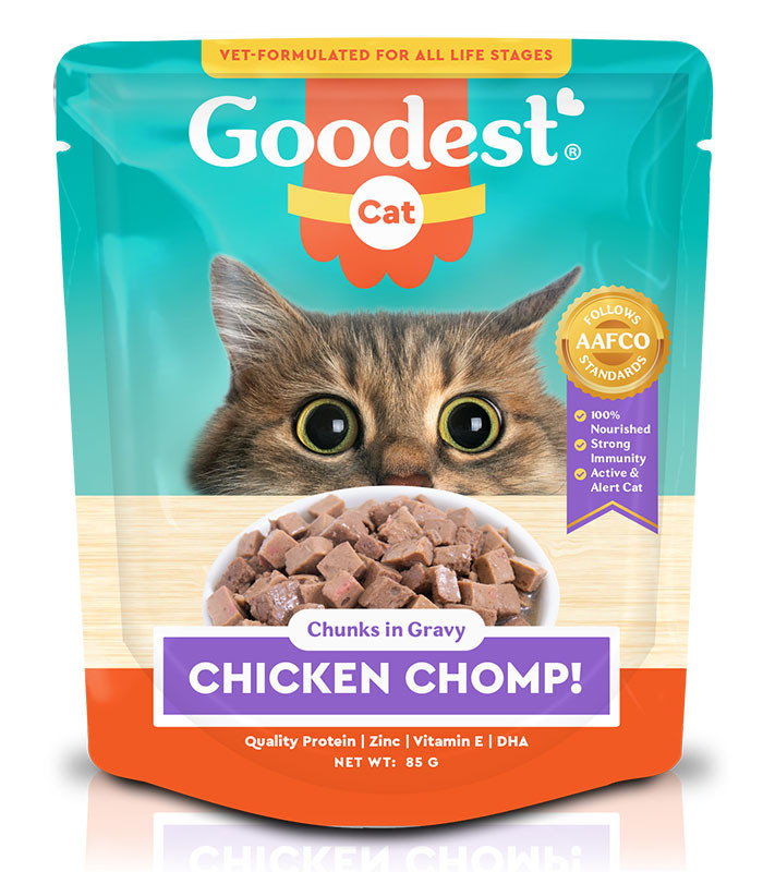 Cheap wet shop cat food