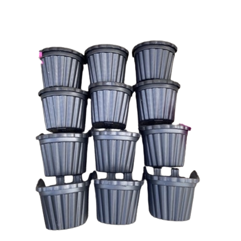 12pcs (2clips) Small Vertical Hanging Pot 2