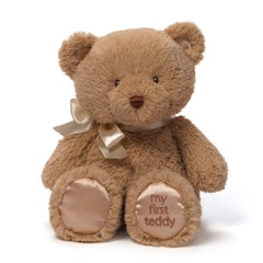My 1st Teddy Bear