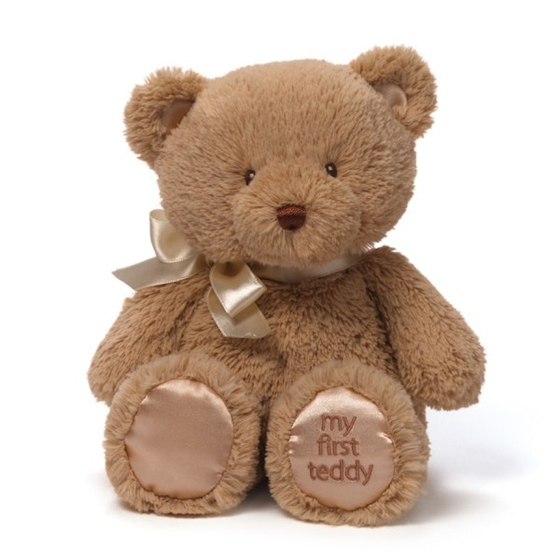 My 1st Teddy Bear 1
