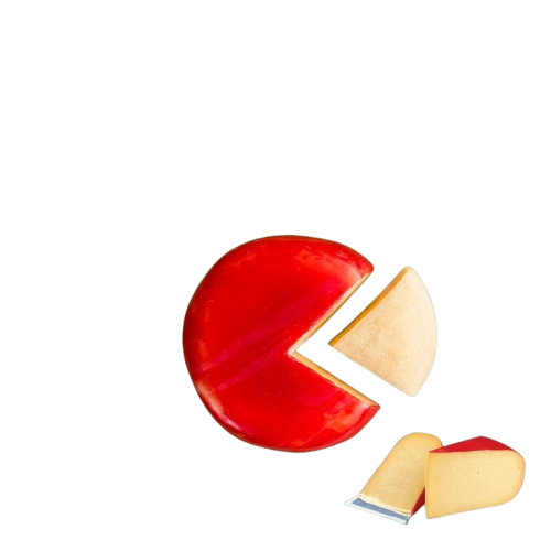 Gouda Cheese 1