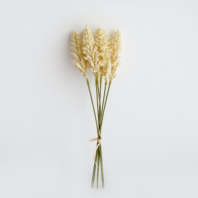 Artificial Vanilla Spike 6