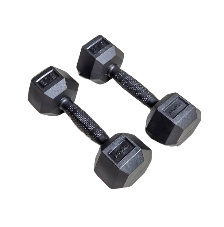 10 Best Dumbbells in the Philippines 2025 Buying Guide Reviewed
