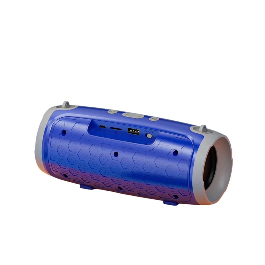 Portable Bluetooth with FM Radio 1