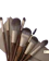 FS Features & Shades Cosmetics Filipiñana Brush Set 1